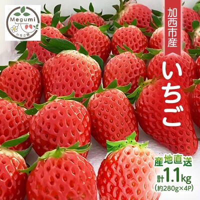 いちご　4パック 兵庫県 加西市 [No5698-1379]