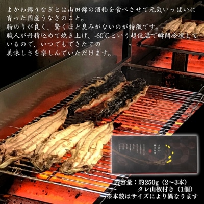 アラジン カセットコンロ ヒバリン グリーン 緑 国産よかわ錦うなぎ蒲焼き[No5698-1430]
