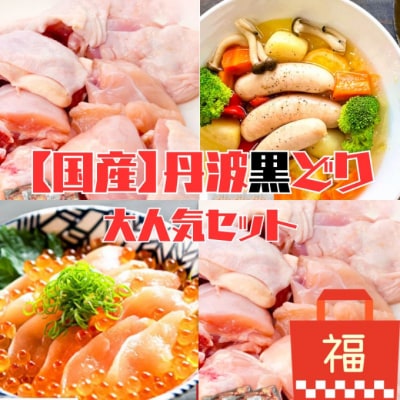 地鶏 丹波 黒どり 大人気セット 福袋 ソーセージ 生ハム モモ肉[No5698-1446]