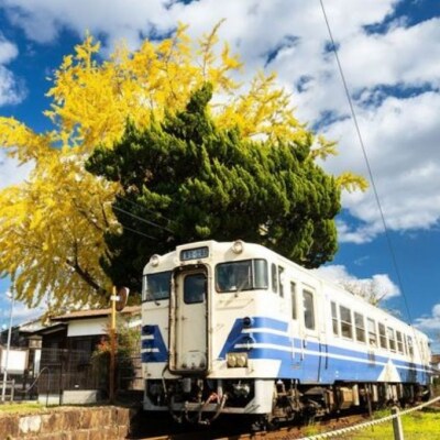 全国初!鉄道×地方創生NFT発行記念団体列車　乗車券+撮影会参加券NFT[No5698-1433]