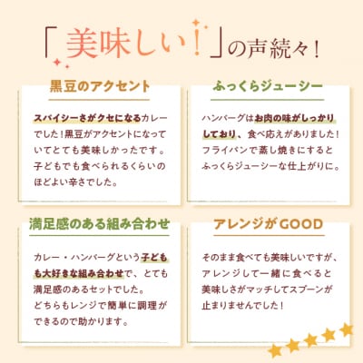 神戸牛100% プレミアムハンバーグカレー セット 国産 肉 牛肉  冷凍[No5698-1496]