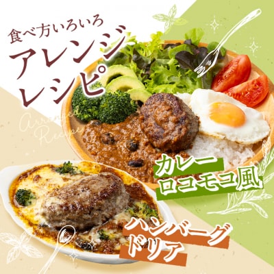 神戸牛100% プレミアムハンバーグカレー セット 国産 肉 牛肉  冷凍[No5698-1496]