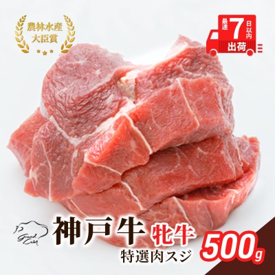 【最短7日以内発送】 神戸ビーフ 神戸牛 牝 特選肉スジ 500g[No5698-1497]