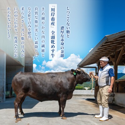 【最短7日以内発送】 神戸ビーフ 神戸牛 牝 特選肉スジ 1000g[No5698-1498]