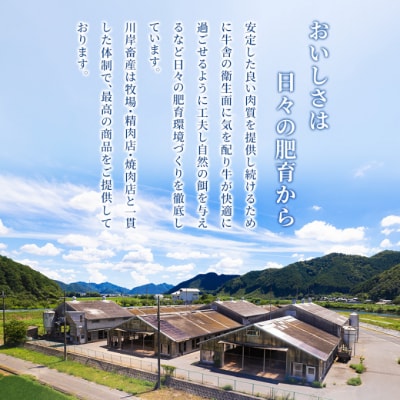 【最短7日以内発送】 神戸ビーフ 神戸牛 牝 モモ 1000g 1kg[No5698-1513]