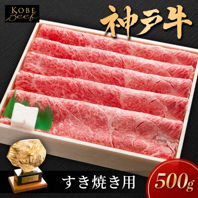 神戸ビーフ500g KSS2 神戸牛 牛肉 2026年4月以降発送[No5698-1548]