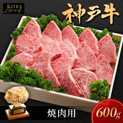 神戸ビーフ KSY3 焼肉用 600g 神戸牛 焼肉 太田家 冷凍 肉[No5698-1549]