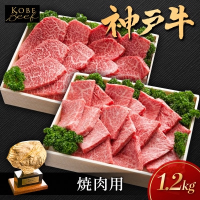 神戸ビーフ KSYS5 焼肉 用セット 神戸牛 焼肉 太田家 冷凍 肉[No5698-1554]