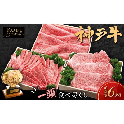 神戸ビーフ KS-1頭 ほぼ一頭色んな部位を食べくらべコース 神戸牛 焼肉[No5698-1559]