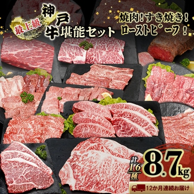 神戸牛 12か月定期便 ブランド牛 ステーキ しゃぶしゃぶ  焼肉 セット[No5698-1573]