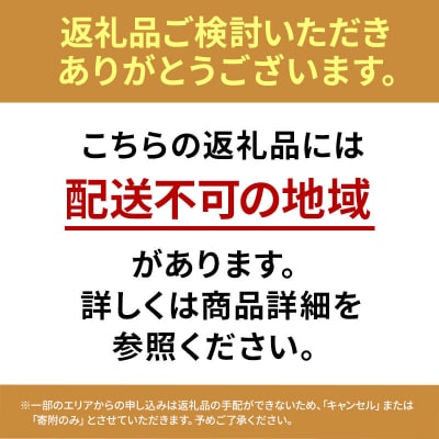 朝どり とうもろこし 20本 8kg 前後 2027年産 よしよし畑[No5698-1588]