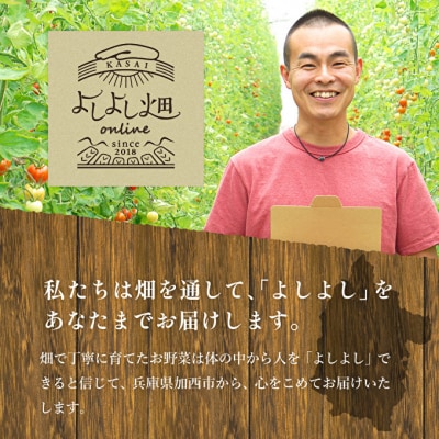 朝どり とうもろこし 20本 8kg 前後 2027年産 よしよし畑[No5698-1588]