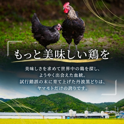 6ヶ月 定期便 地鶏 丹波 黒どり ムネ 2kg[No5698-1590]