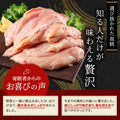 12ヶ月 定期便 地鶏 丹波 黒どり ムネ 2kg[No5698-1591]