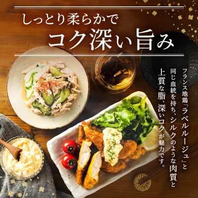 6ヶ月 定期便 地鶏 丹波 黒どり ササミ 2kg[No5698-1593]