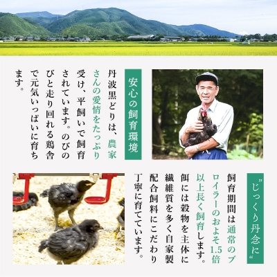 3ヶ月 定期便 地鶏 丹波 黒どり 丸ごと ぶつ切り 600g×5パック[No5698-1595]