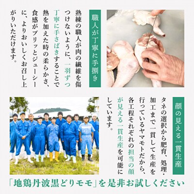 3ヶ月 定期便 地鶏 丹波 黒どり 丸ごと ぶつ切り 600g×5パック[No5698-1595]