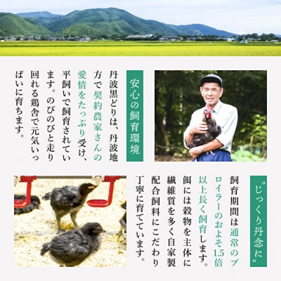 6ヶ月 定期便 地鶏 丹波 黒どり 丸ごと ぶつ切り 600g×5パック[No5698-1596]