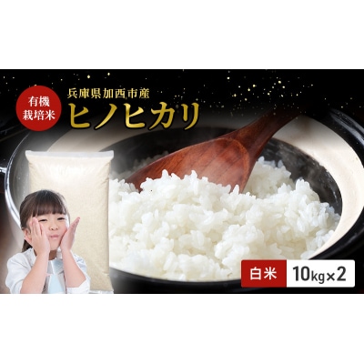 【令和7年度産 最速受付開始!】ヒノヒカリ 白米 20kg エコ [No5698-1718]
