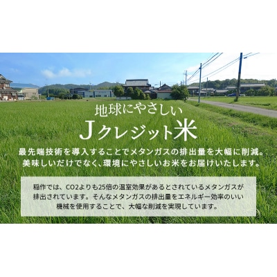 【令和7年度産 最速受付開始!】ヒノヒカリ 白米 20kg エコ [No5698-1718]