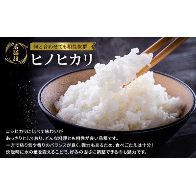 【令和7年度産 最速受付開始!】ヒノヒカリ 白米 20kg エコ [No5698-1718]
