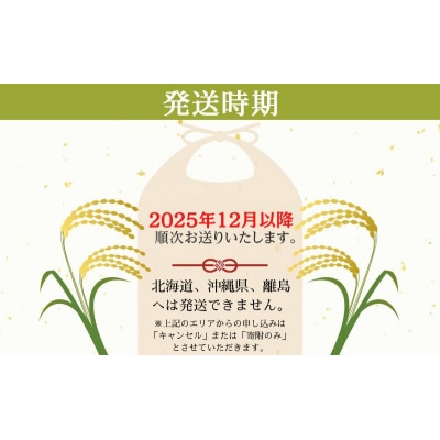 【令和7年度産 最速受付開始!】ヒノヒカリ 白米 20kg エコ [No5698-1718]