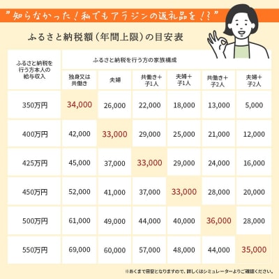  アラジン 2枚 ブラック 黒 グラファイト トースター 2枚焼き [No5698-0339]