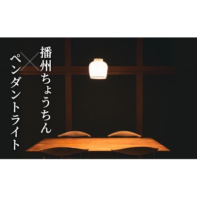 【提灯型 ペンダントライト 灯 suzu】[No5698-1774]