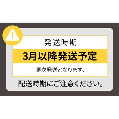 【提灯型ペンダントライト 灯 kasa】[No5698-1775]