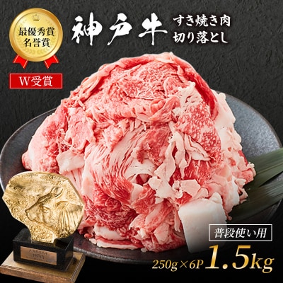 特別寄附額 神戸牛 切落とし 250g×6P 計1.5kg 普段 改定前 [No5698-1860]