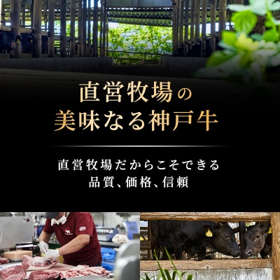 神戸牛 厚切り ランプステーキ 200g×1枚[No5698-1862]