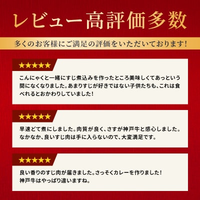 神戸牛 すじ肉 900g (300g×3パック) [No5698-1865]
