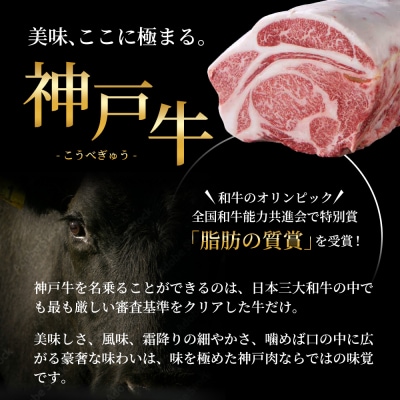 神戸牛 すじ肉 900g (300g×3パック) [No5698-1865]