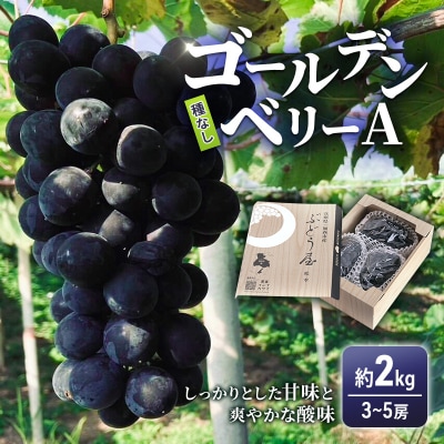 ゴールデンベリーA 約2kg 3～5房 【2026年産 予約受付】 ぶどう[No5698-1636]