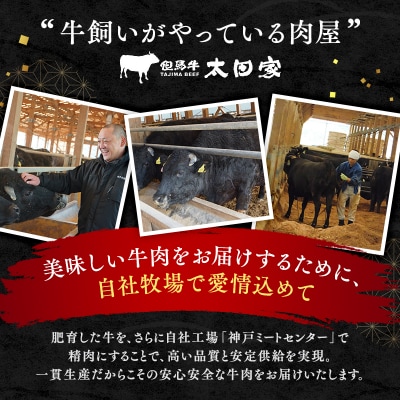 神戸牛 訳あり 焼肉用 500g A4ランク以上! 神戸ビーフ[No5698-1747]