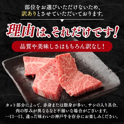 神戸牛 訳あり 焼肉用 400g×2 計800g 小分け 切り落とし [No5698-1748]