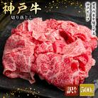 神戸牛 訳あり 切り落とし 500g A4ランク以上! 神戸ビーフ[No5698-1749]