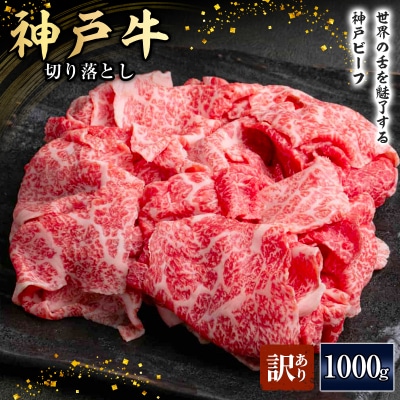 神戸牛 訳あり 切り落とし 500g×2 A4ランク以上! 神戸ビーフ[No5698-1750]