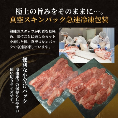 神戸牛 訳あり 切り落とし 400g×2 計800g 小分け 切り落とし [No5698-1750]