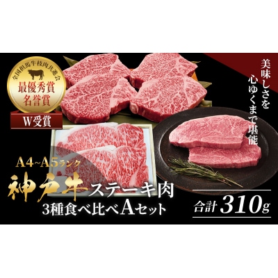 神戸牛 ステーキ サーロイン ヒレ モモ 3種食べ比べ Aセット 計3枚[No5698-1758]