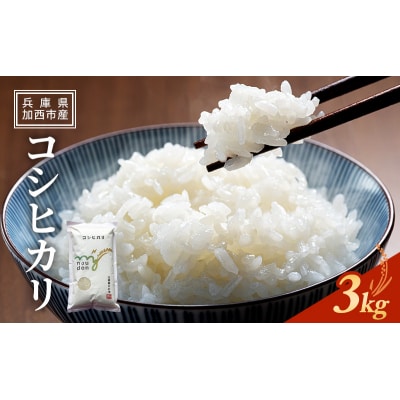 【令和6年産新米受付】 米 令和6年産 コシヒカリ 3kg 新米 精米[No5698-1801]