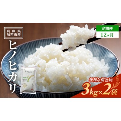 【令和6年産新米受付】定期便 ヒノヒカリ 3kg×2袋 12ヶ月連続お届け[No5698-1815]