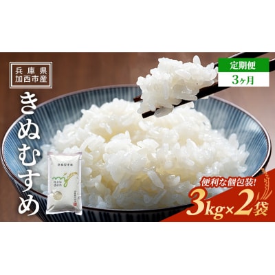 お米 定期便 きぬむすめ 白米 6kg(3kg×2袋) 3ヶ月連続お届け [No5698-1821]