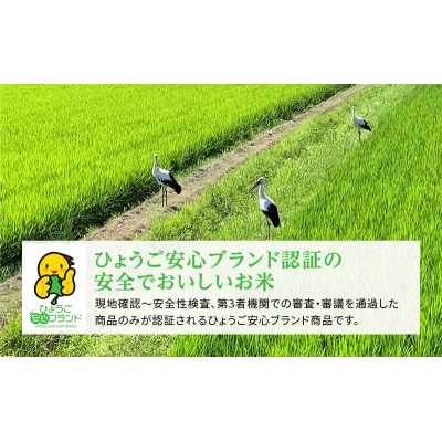 お米 定期便 きぬむすめ 白米 6kg(3kg×2袋) 6ヶ月連続お届け [No5698-1822]