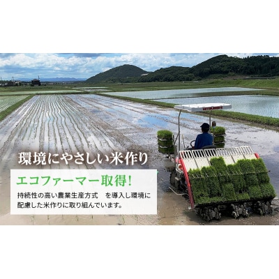 お米 定期便 きぬむすめ 白米 6kg(3kg×2袋) 6ヶ月連続お届け [No5698-1822]