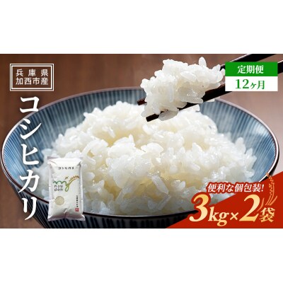 【令和6年産新米】 米 定期便12ヶ月 令和6年産 コシヒカリ 6kg  [No5698-1807]
