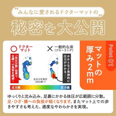 ドクターマット プレミアム L キャメル アサヒ軽金属 アサヒ 厚手 [No5698-1988]