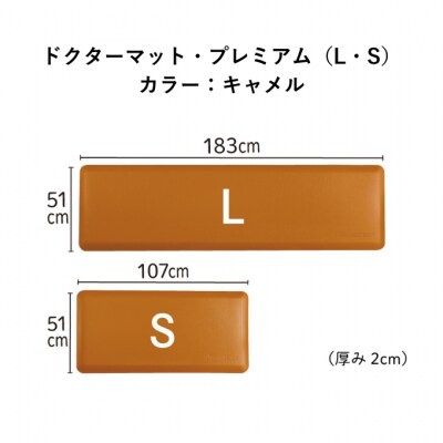 ドクターマット プレミアム L S 2点セット キャメル アサヒ軽金属 [No5698-1990]