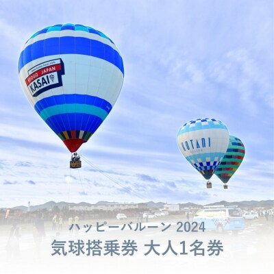 ハッピーバルーンクリスマスin加西 気球搭乗体験 大人1名分[No5698-1994]