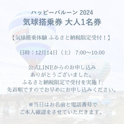 ハッピーバルーンクリスマスin加西 気球搭乗体験 大人1名分[No5698-1994]